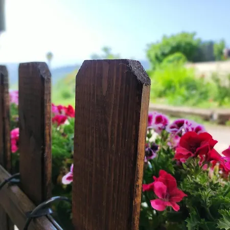 Apartment Gariko , Entrada Independiente *